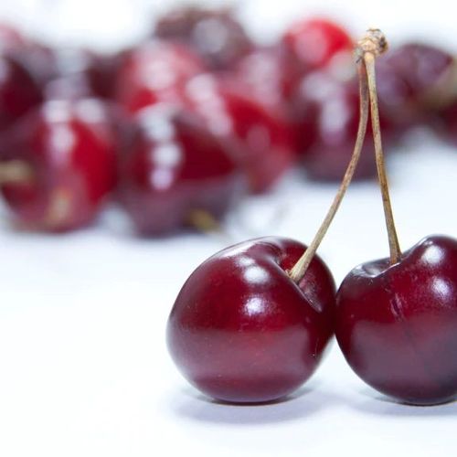 Cherry Trees For Sale Melbourne Buy Fruit Trees All Green